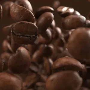 coffee beans splattering